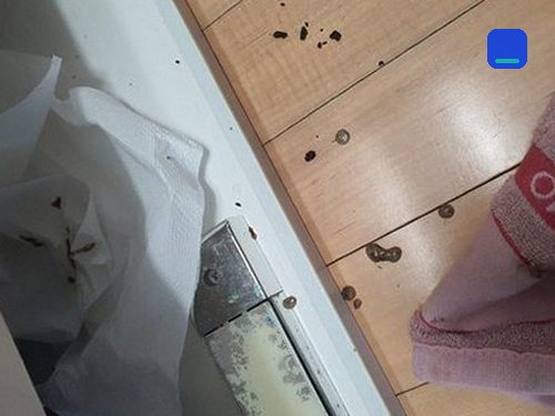 싱크대막힘 신도림동 하수구막힘 싱크대막힘